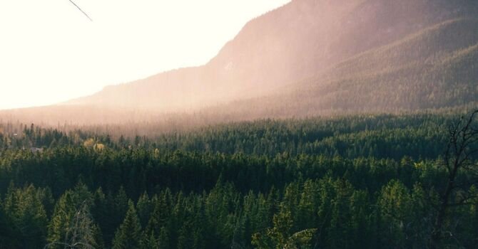 Sports Injury Treatment & Foot Pain Recovery