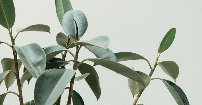 Biomechanical Foot & Gait Assessment in Kent