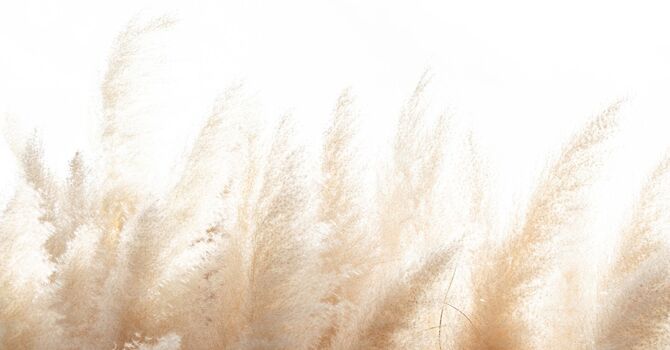 Sports Injury Treatment & Foot Pain Recovery