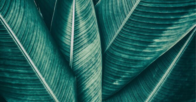 Sports Injury Treatment & Foot Pain Recovery